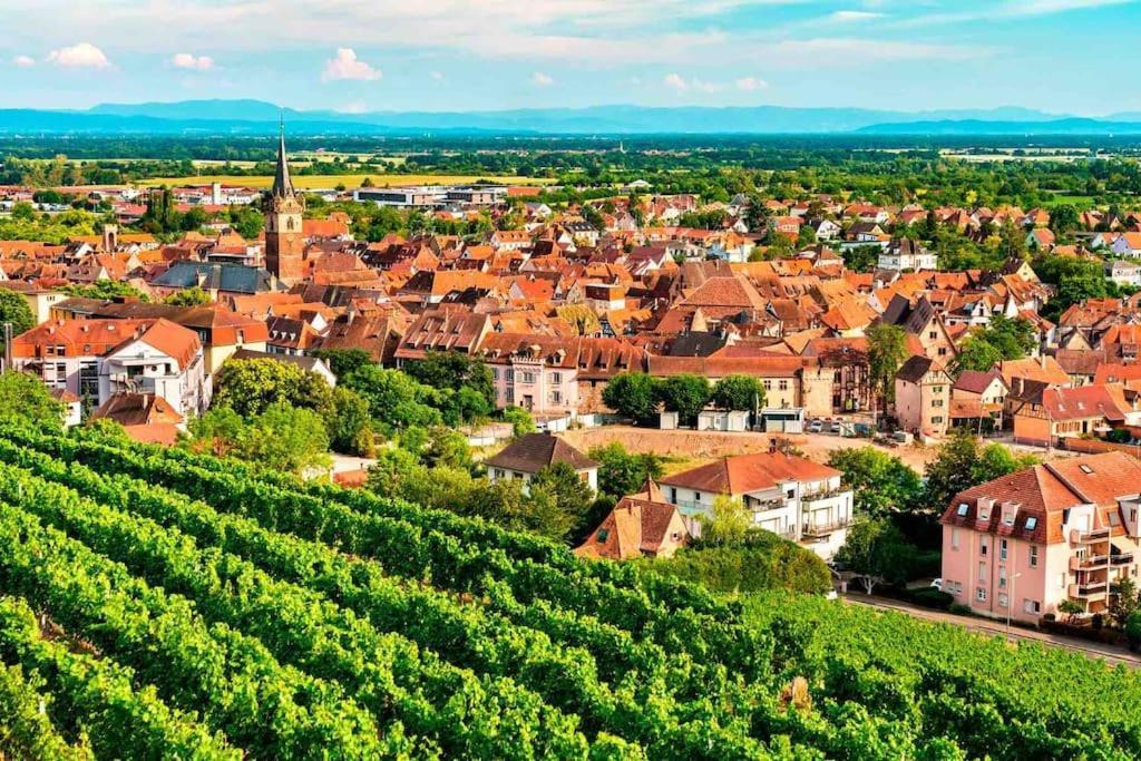 Le Carrousel - Appartement Cosy Centre Obernai Zewnętrze zdjęcie